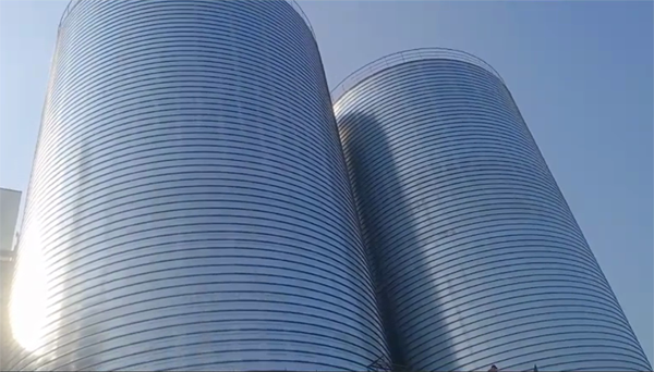 红山2座混凝土高架卷板仓